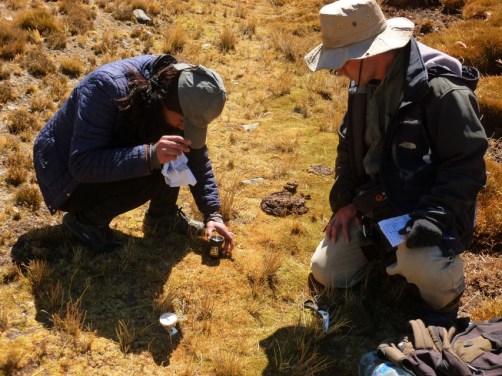 Huayna Potosi_20160803