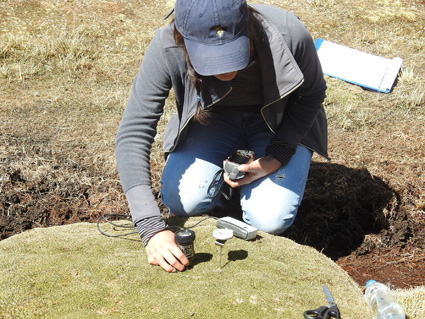 yara-en-hp5_20160903