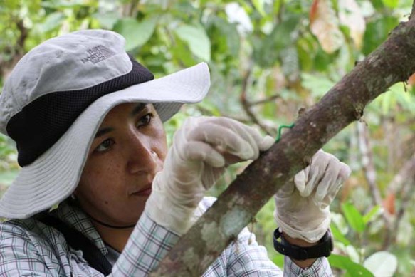 Sara Ana_Isabel poniendo larva de plastilina_20171112